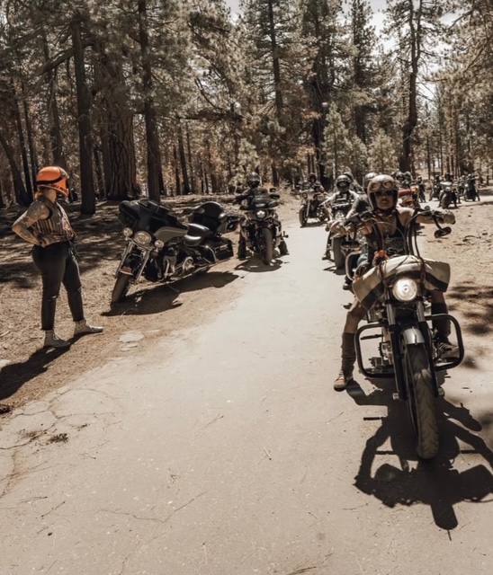 Riders rolling through the pines at On The Mountain