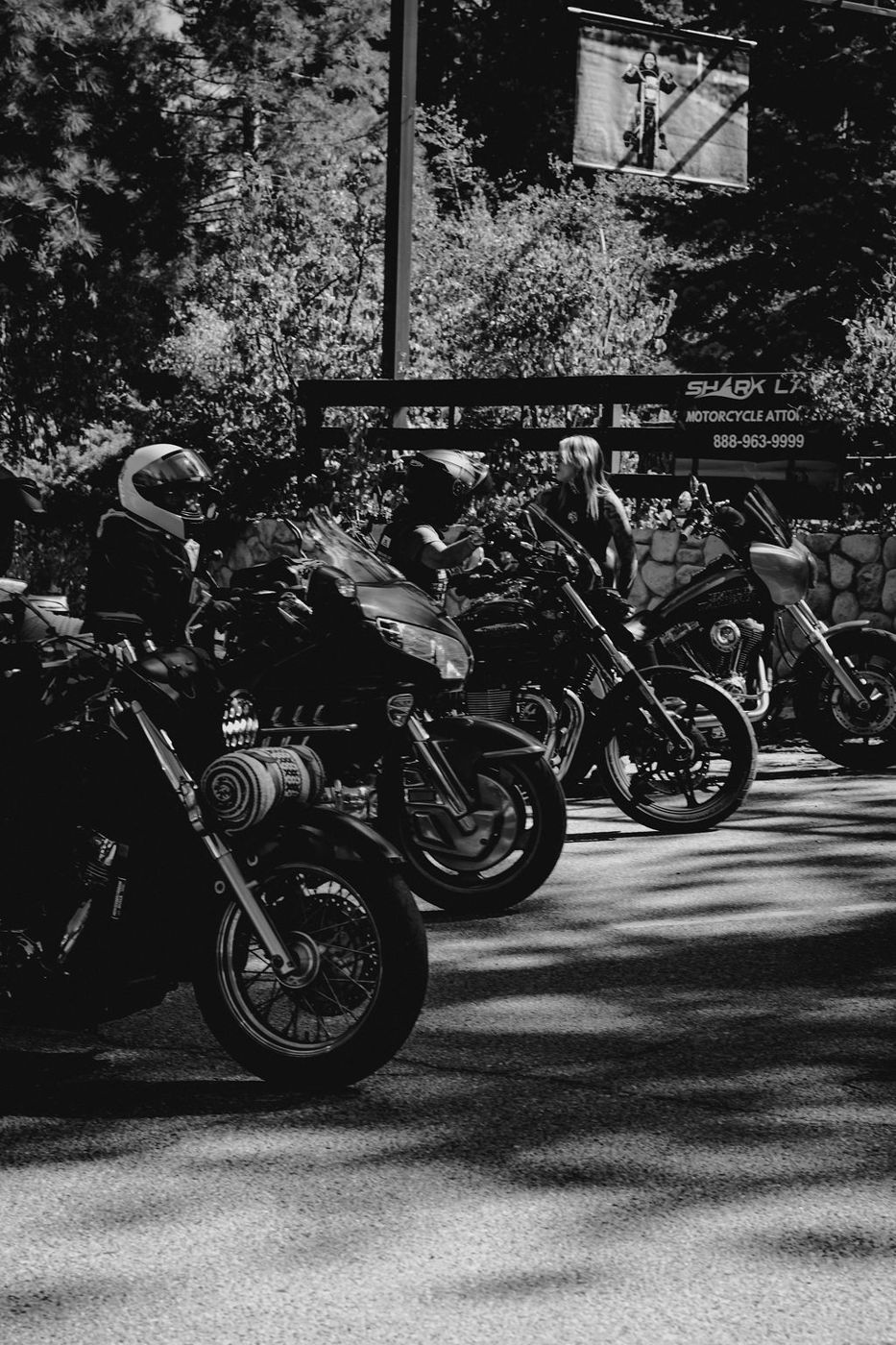 On The Mountain 2026 photo 11